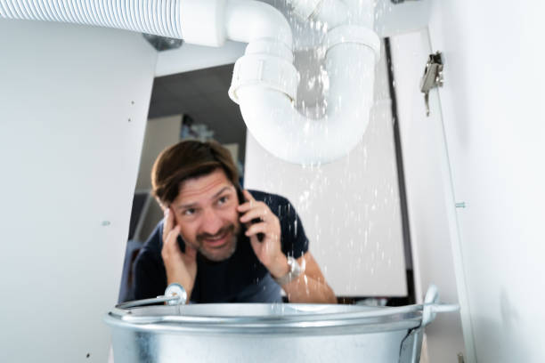 Best Clogged Drain Plumber  in Windsor, VA